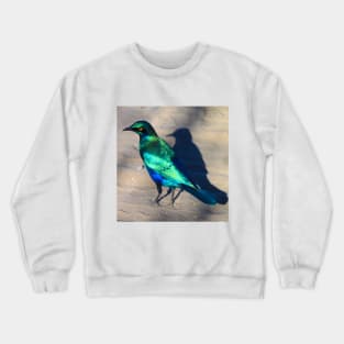 African Blue Starling Bird Crewneck Sweatshirt